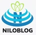 همه چیز درباره آشپزی
